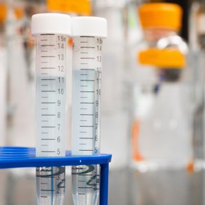 biology-blur-blurred-background-954585